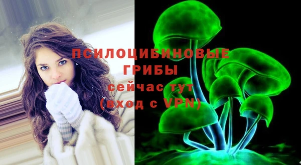 герыч Алексин