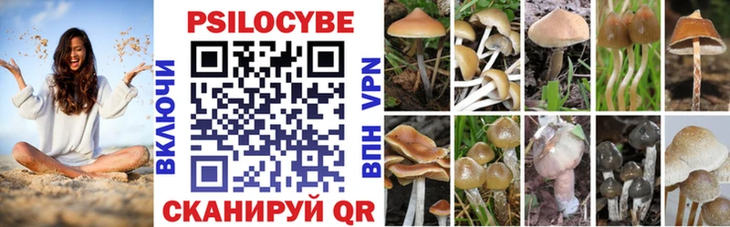Псилоцибиновые грибы Psilocybe Николаевск